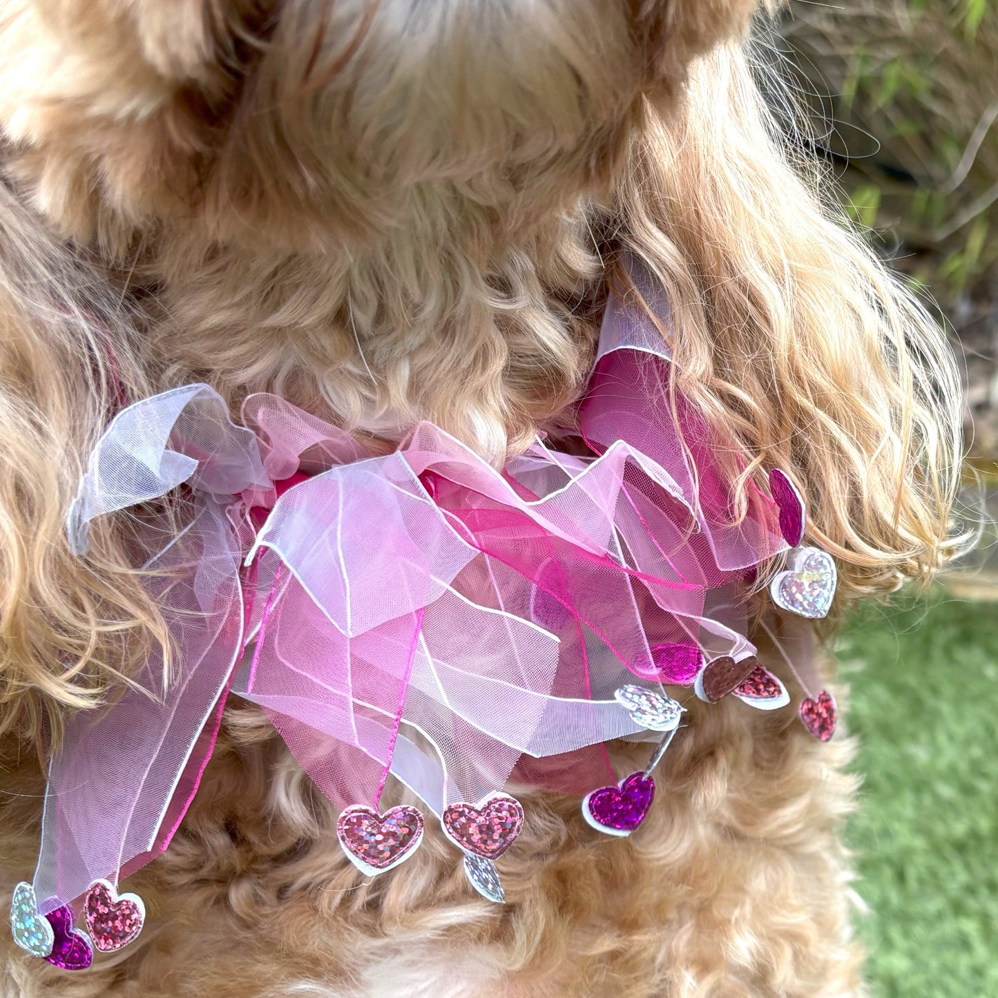 Elasticated love heart frill collar adds a touch of charm to your dog's look. Made from high-quality materials, this playful collar features a stylish love heart design and a decorative frill made of white and pink tulle ribbons. One size shown on Cockapoo model. Worn on its own or easily slipped on top of collar