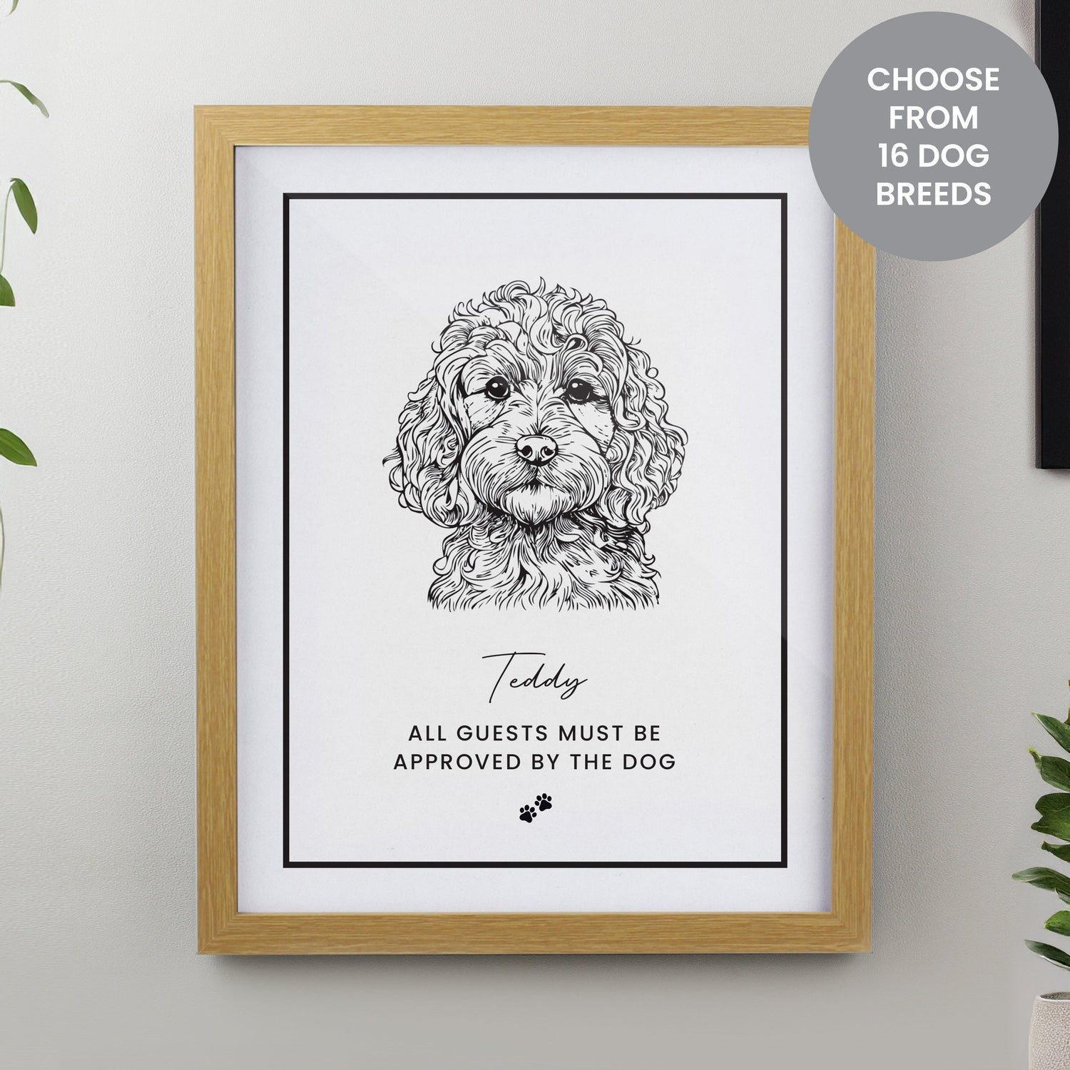Christmas Gifts for Pets