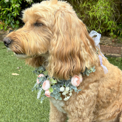 Delicate flower bud garland wreath for dogs. Dog collar with champagne blush buds and faux greenery. Adjustable one size. Tied with crystal ribbons for comfort.