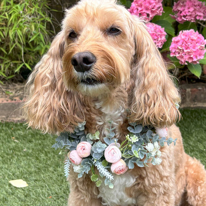 Delicate flower bud garland wreath for dogs. Dog collar with champagne blush buds and faux greenery. Adjustable one size. Tied with crystal ribbons for comfort.