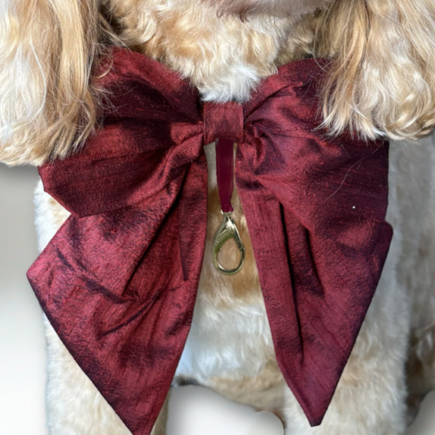 Dog wears 100% silk dupion burgundy red  sailor bow on leather collar with optional ring bearer clasp
