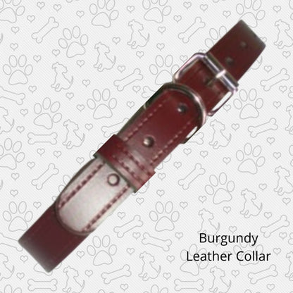 Burgundy leather collar various sizes