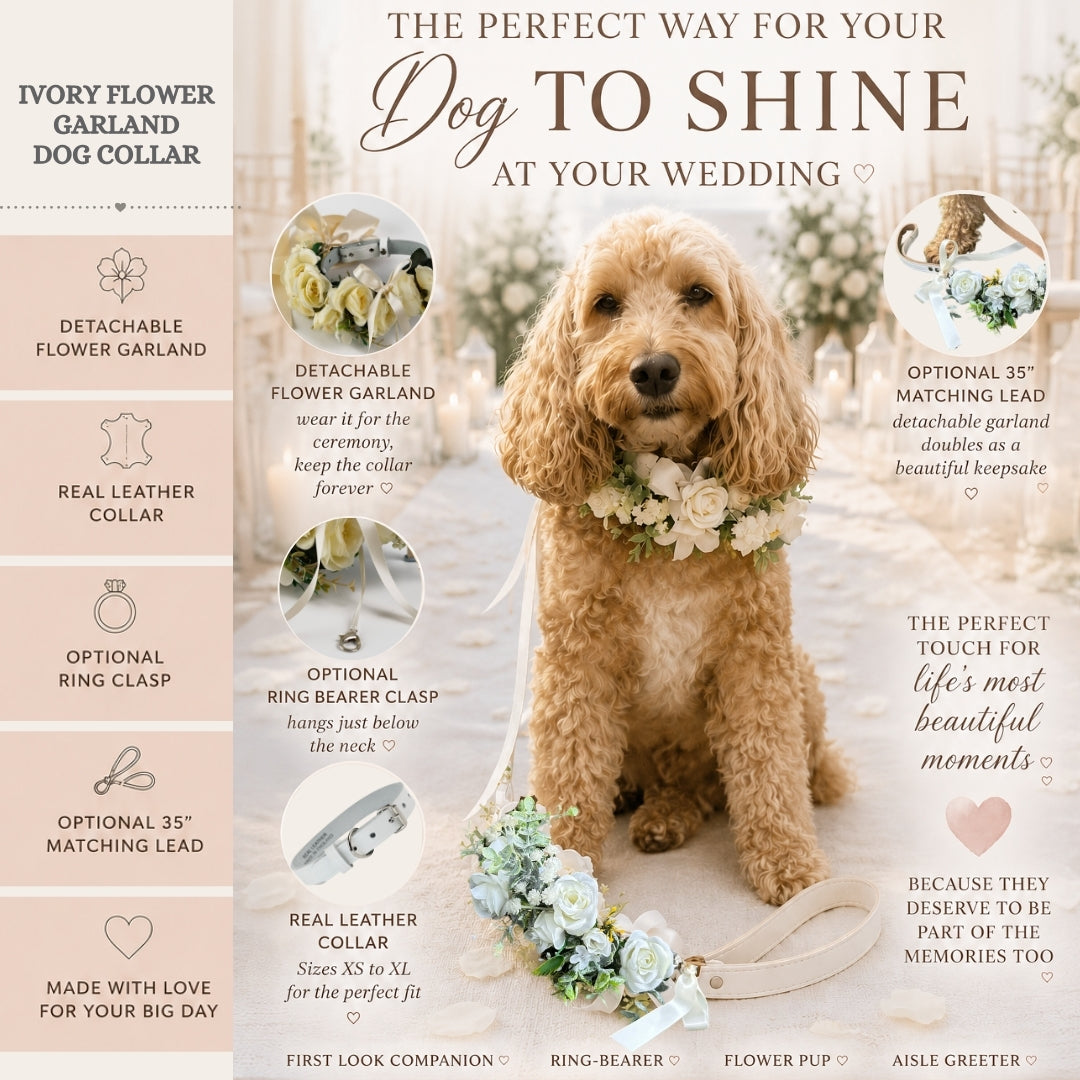 Details of the ivory flower garland dog collar and optional lead