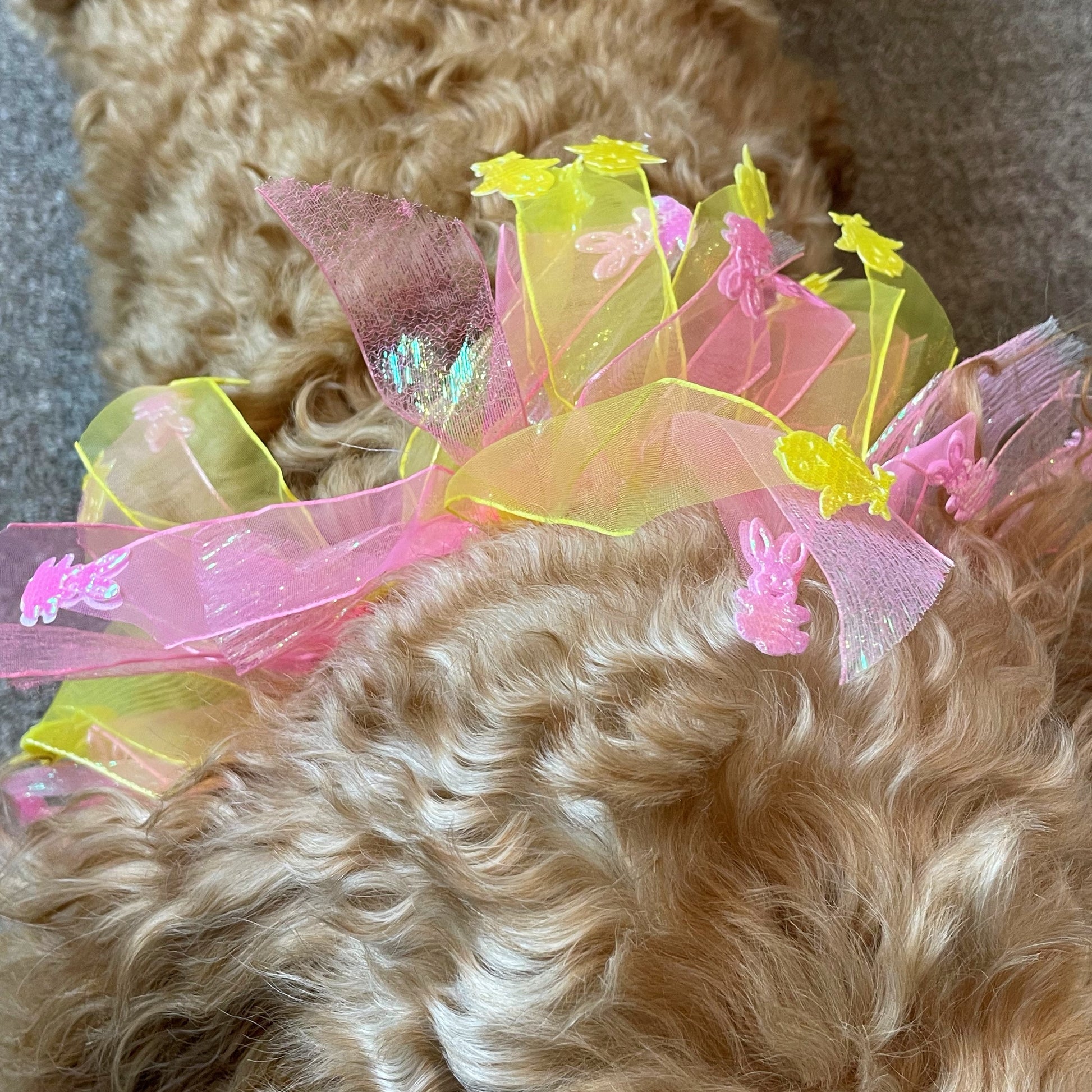 Worn by medium size cockapoo. Fun elastic frill for dogs. Pastel pink and yellow tulle frills with foil pink rabbits and yellow chicks on the end of each tulle frill. One size.