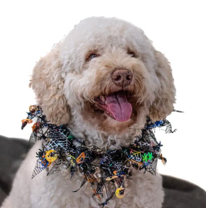 Dog wears Halloween pumpkin frill
