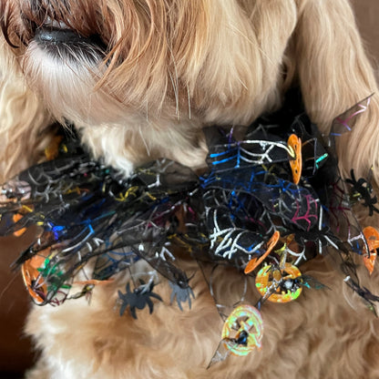 Halloween pumpkin frill