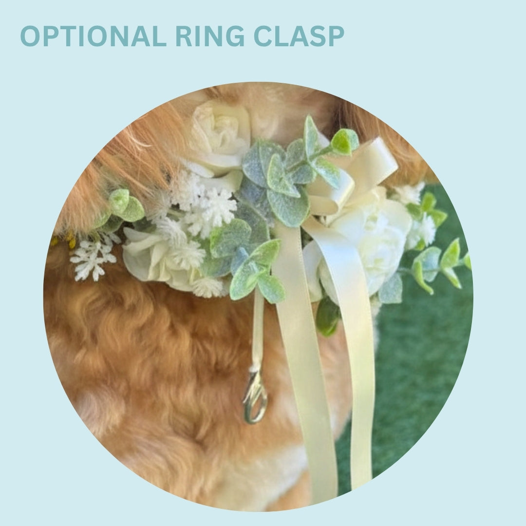 Optional ring bearer clasp for dog ring bearer duties