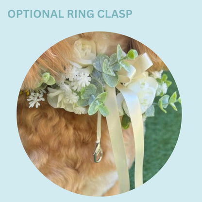 Optional ring bearer clasp for dog ring bearer duties