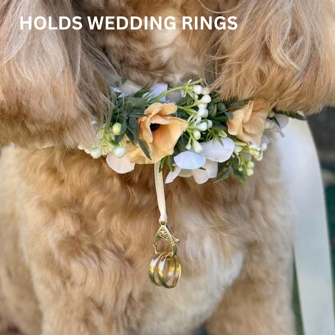 Cockapoo Dog wears wedding collar with flower garland and ring bearer clasp holding wedding rings