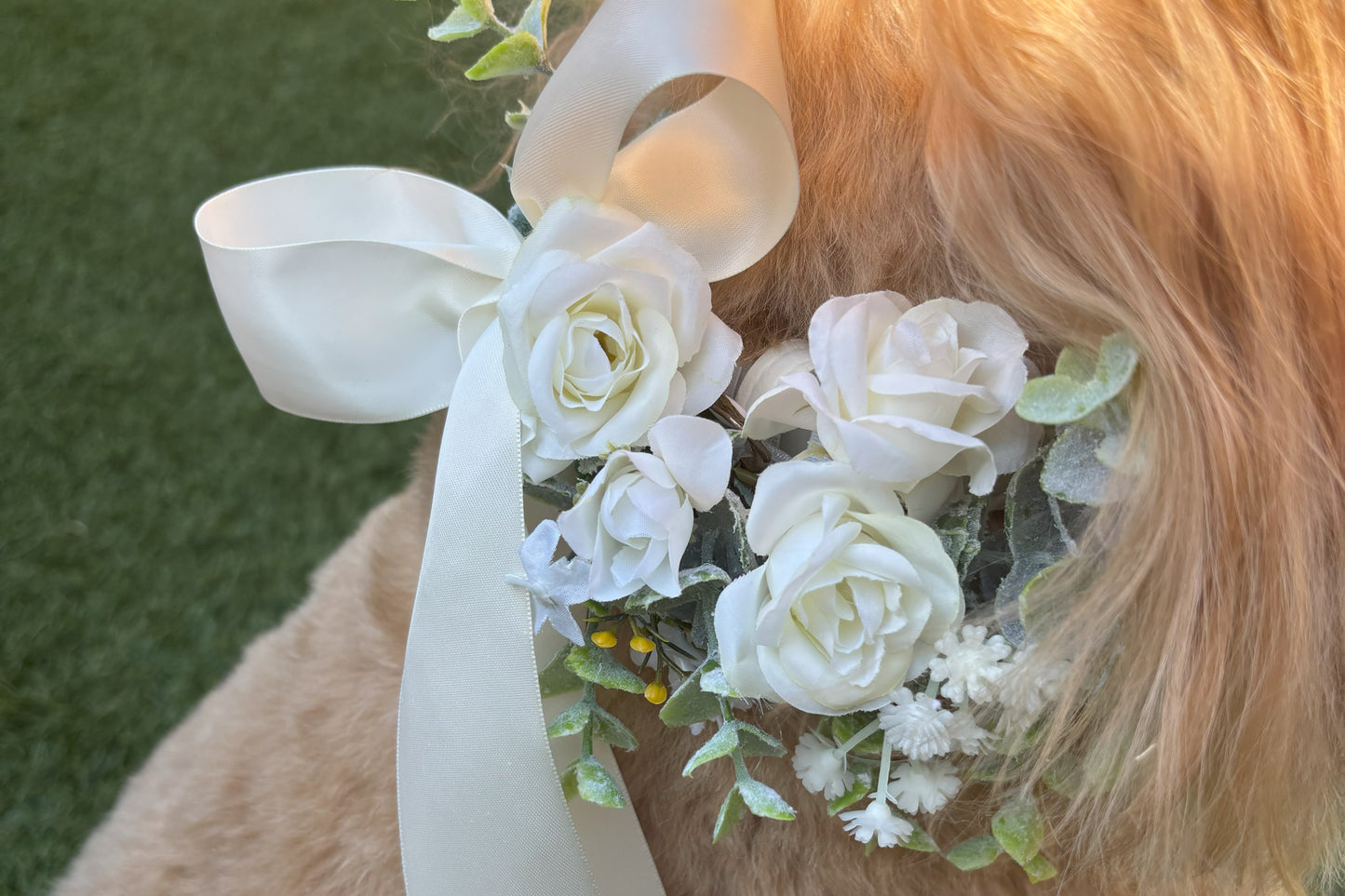 Ivory Silk Dog Ring Bearer Collar. 