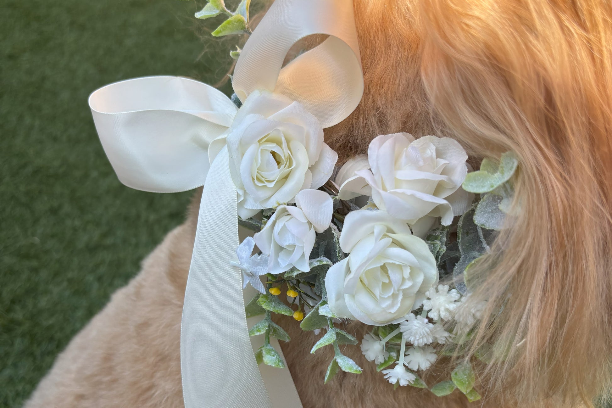 Ivory Silk Dog Ring Bearer Collar. 