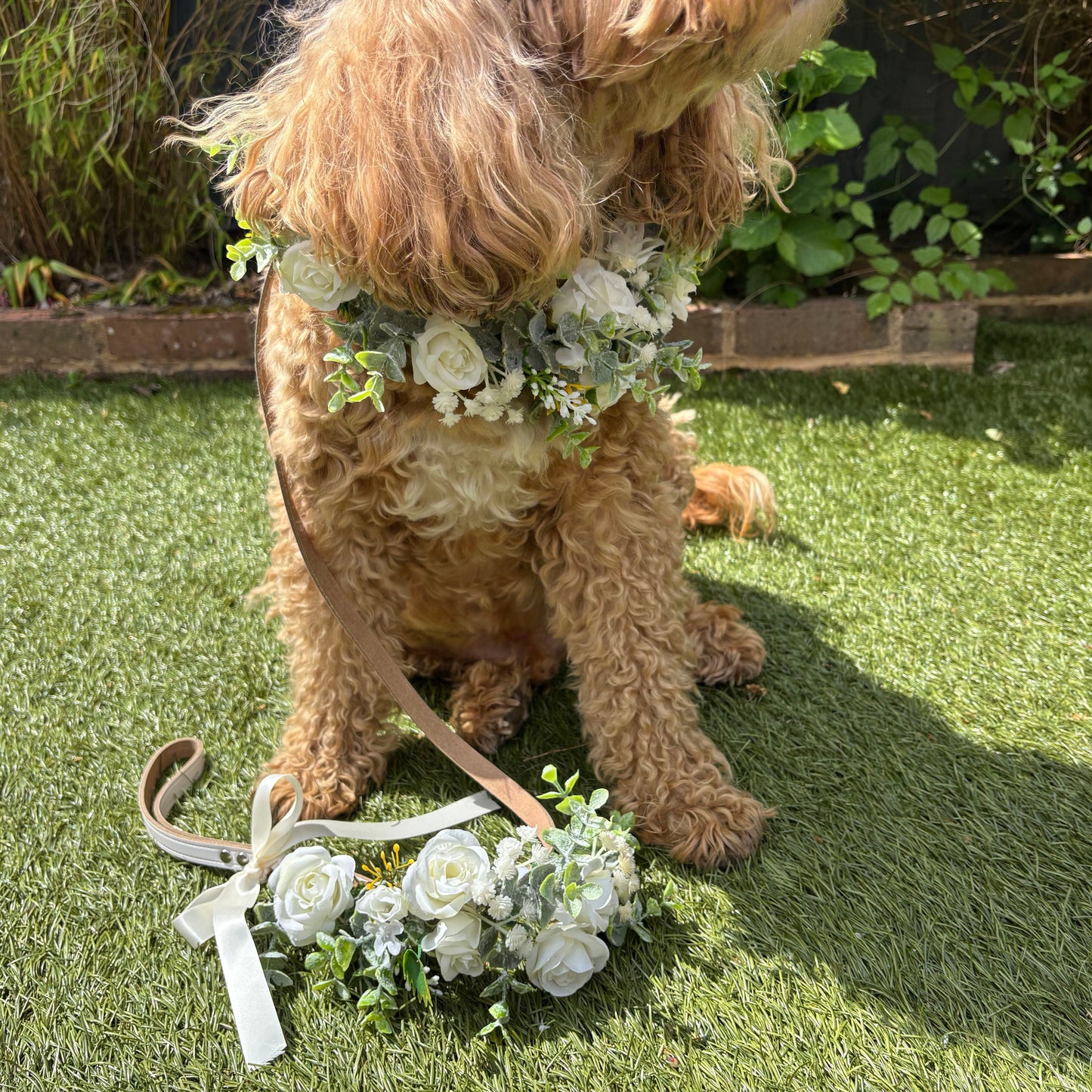 Ivory flower garland collar and lead set