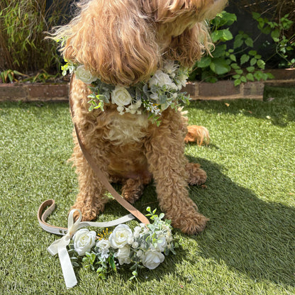 Ivory flower garland collar and lead set