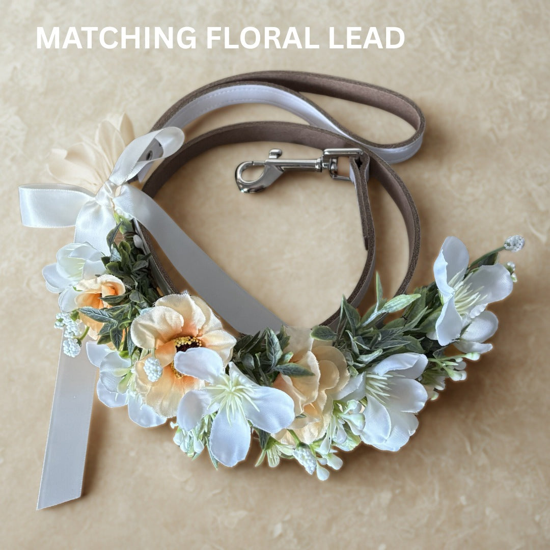 Cockapoo Dog wears wedding collar with flower garland and matching floral lead set. Complete Wedding set