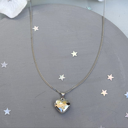Heart-shaped paw print opening photo locket on sterling silver chain
