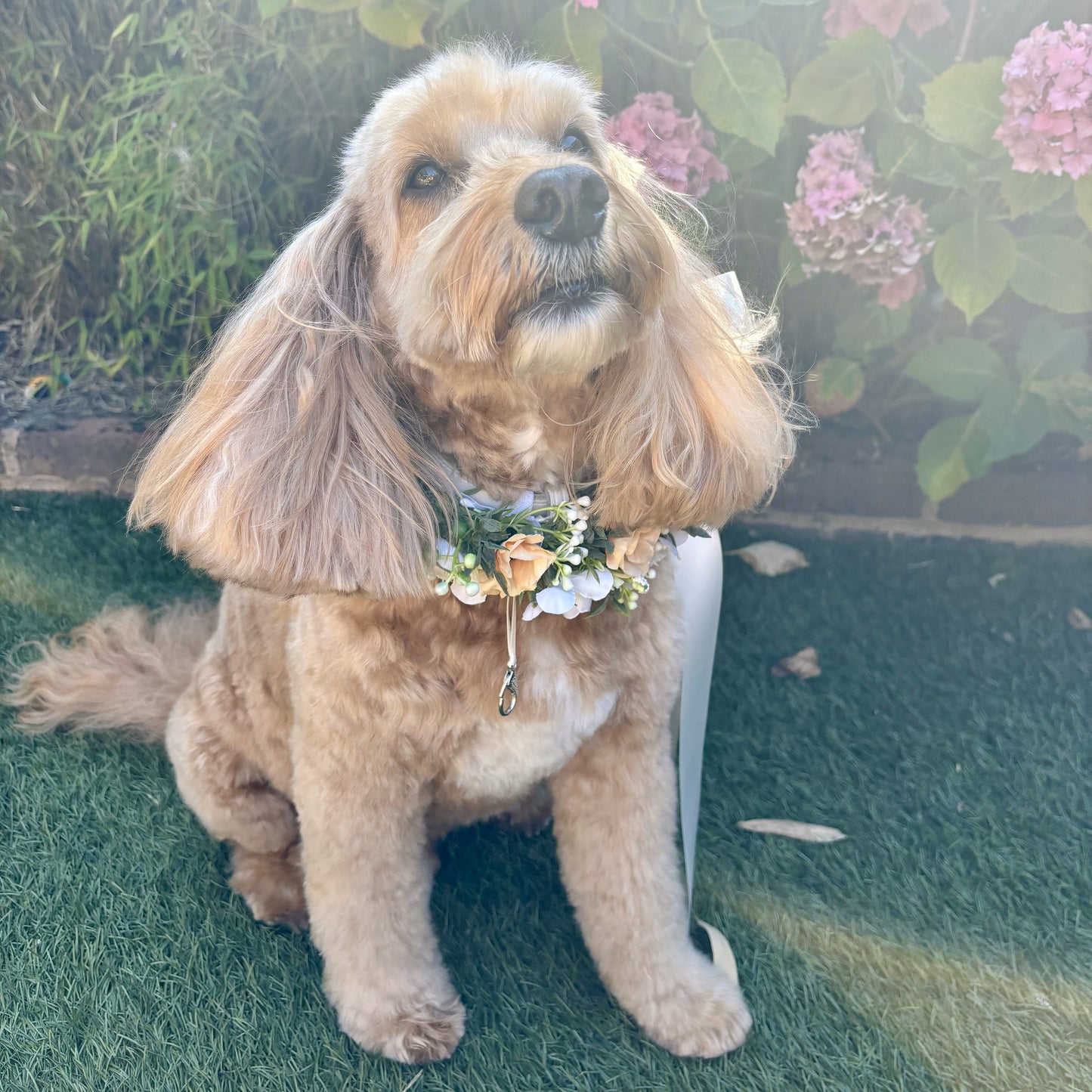 Dog wedding collar with flower garland and matching floral lead set. Optional ring bearer dog collar