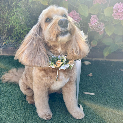Dog wedding collar with flower garland and matching floral lead set. Optional ring bearer dog collar