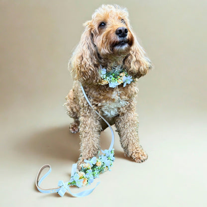 Cockapoo Dog wears wedding collar with flower garland and matching floral lead set. Optional ring bearer dog collar