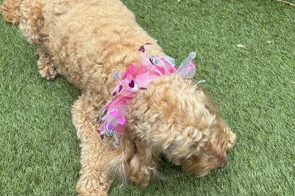 Elasticated love heart frill collar adds a touch of charm to your dog's look. Made from high-quality materials, this playful collar features a stylish love heart design and a decorative frill made of white and pink tulle ribbons. One size shown on Cockapoo model. Worn on its own or easily slipped on top of collar