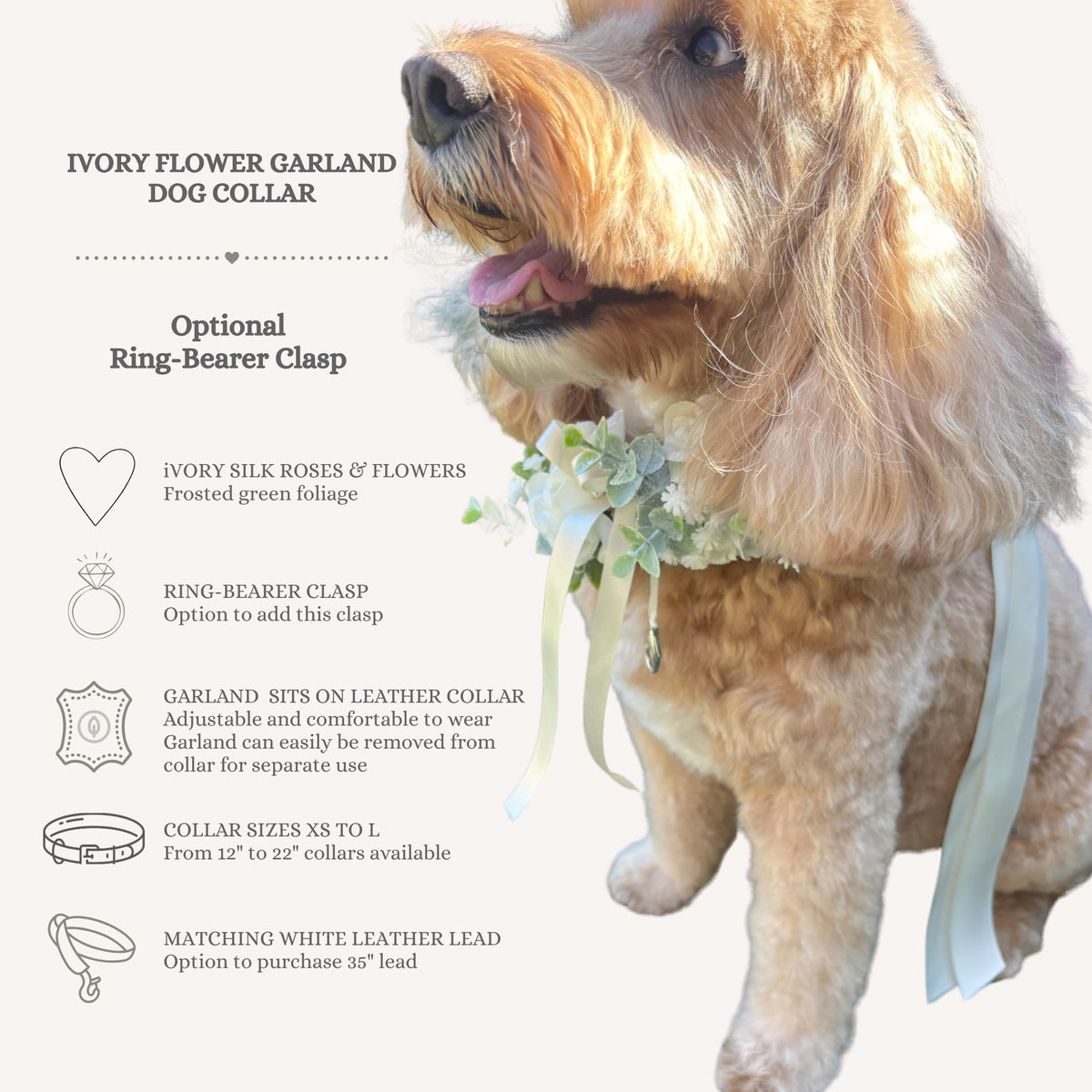 Information sheet about the Dog Ivory Flower Collar and optional Ring Bearer accessory