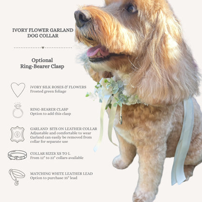 Information sheet about the Dog Ivory Flower Collar and optional Ring Bearer accessory