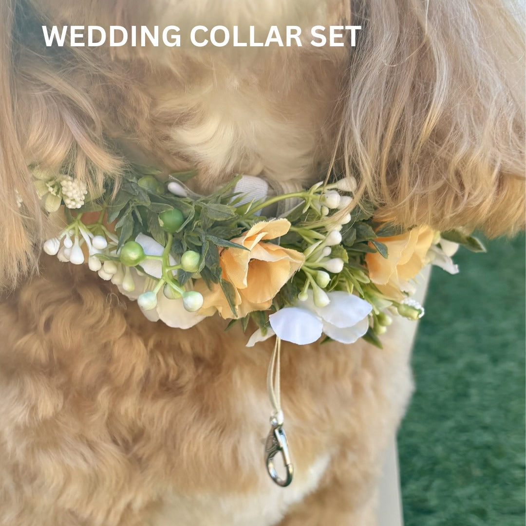 Cockapoo Dog wears wedding collar with flower garland and ring bearer clasp holding wedding rings
