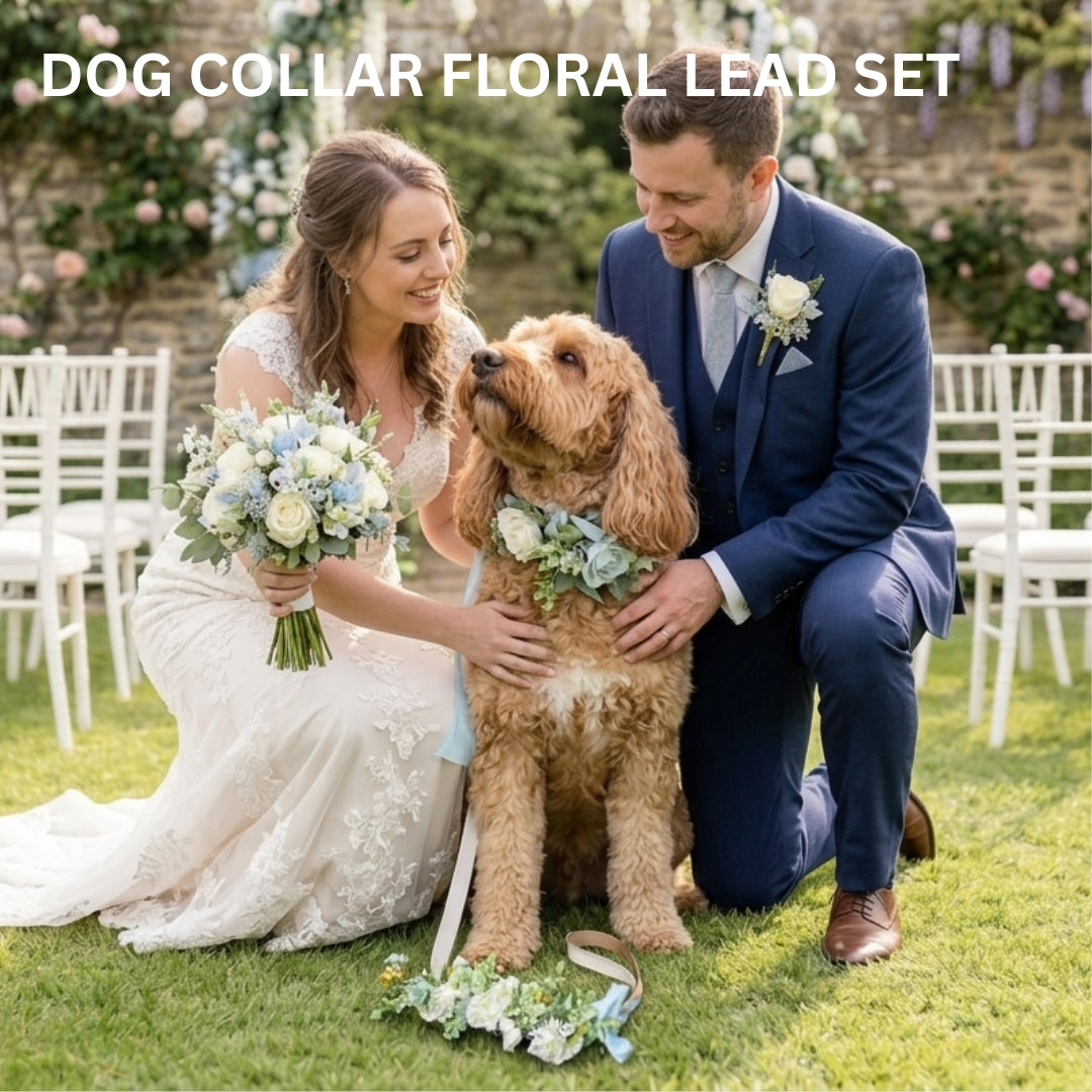 Bride and Groom with Dog wearing Collar & Lead Wedding Set. Ivory Flowers with pale blue ribbon