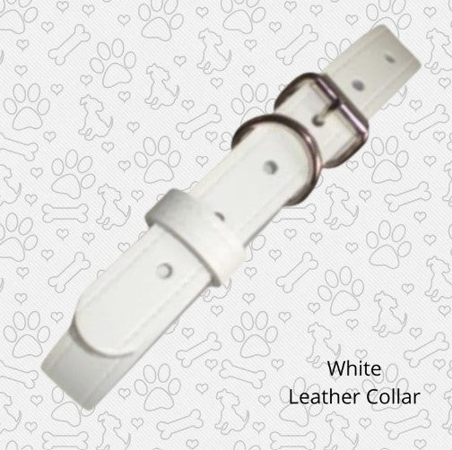 White leather dog collar included with sailor bow