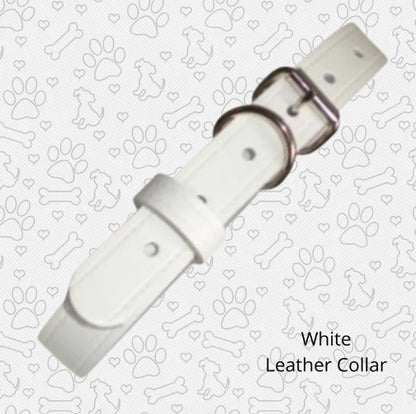 White leather dog collar included with sailor bow