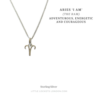zodiac pendant shown on card mount