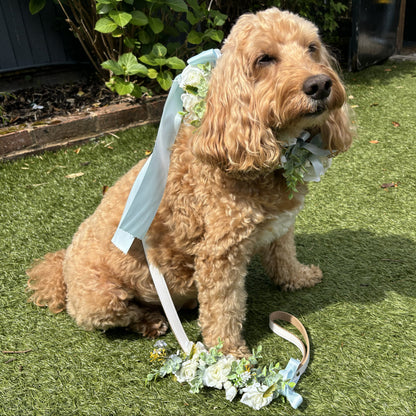 Dog Collar & Lead Wedding Set. Ivory Flowers choice of ribbon colour