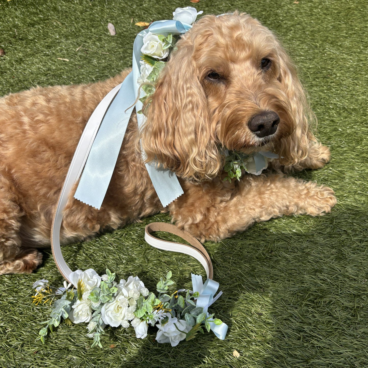 Dog Collar & Lead Wedding Set. Ivory Flowers choice of ribbon colour