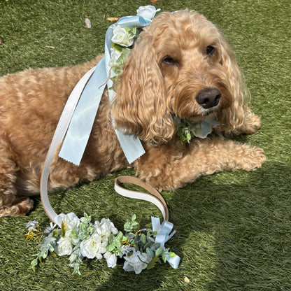 Dog Collar & Lead Wedding Set. Ivory Flowers choice of ribbon colour