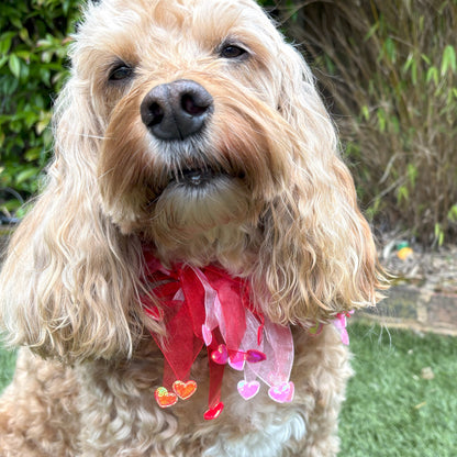Dog frill in pink and red tulle. Red and pink love hearts on the tips of each frill. One size worn by Hugo the Cockapoo