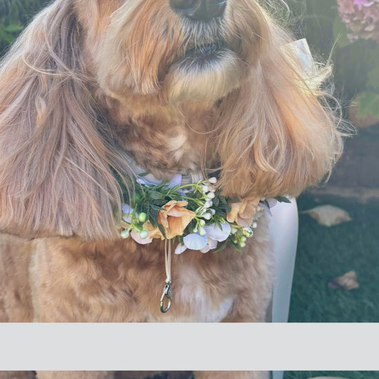 Full Flower Garland Dog Collar. Silk flower dog collars in a range of buds and blossoms and a hint of woodland greenery, finished with satin ribbon and attached to a leather collar. Optional Ring Bearer Clasp 