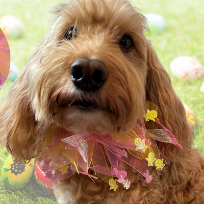 Worn by medium size cockapoo. Fun elastic frill for dogs. Pastel pink and yellow tulle frills with foil pink rabbits and yellow chicks on the end of each tulle frill. One size.
