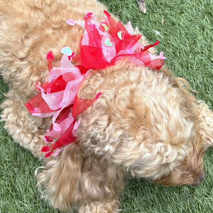 Dog frill in pink and red tulle. Red and pink love hearts on the tips of each frill. One size worn by Hugo the Cockapoo