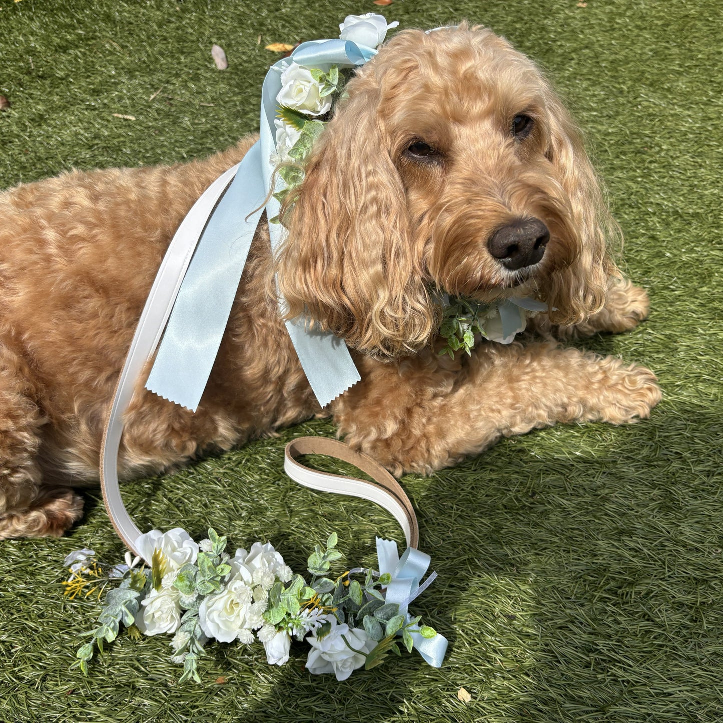 Dog Collar & Lead Wedding Set. Ivory Flowers choice of ribbon colour