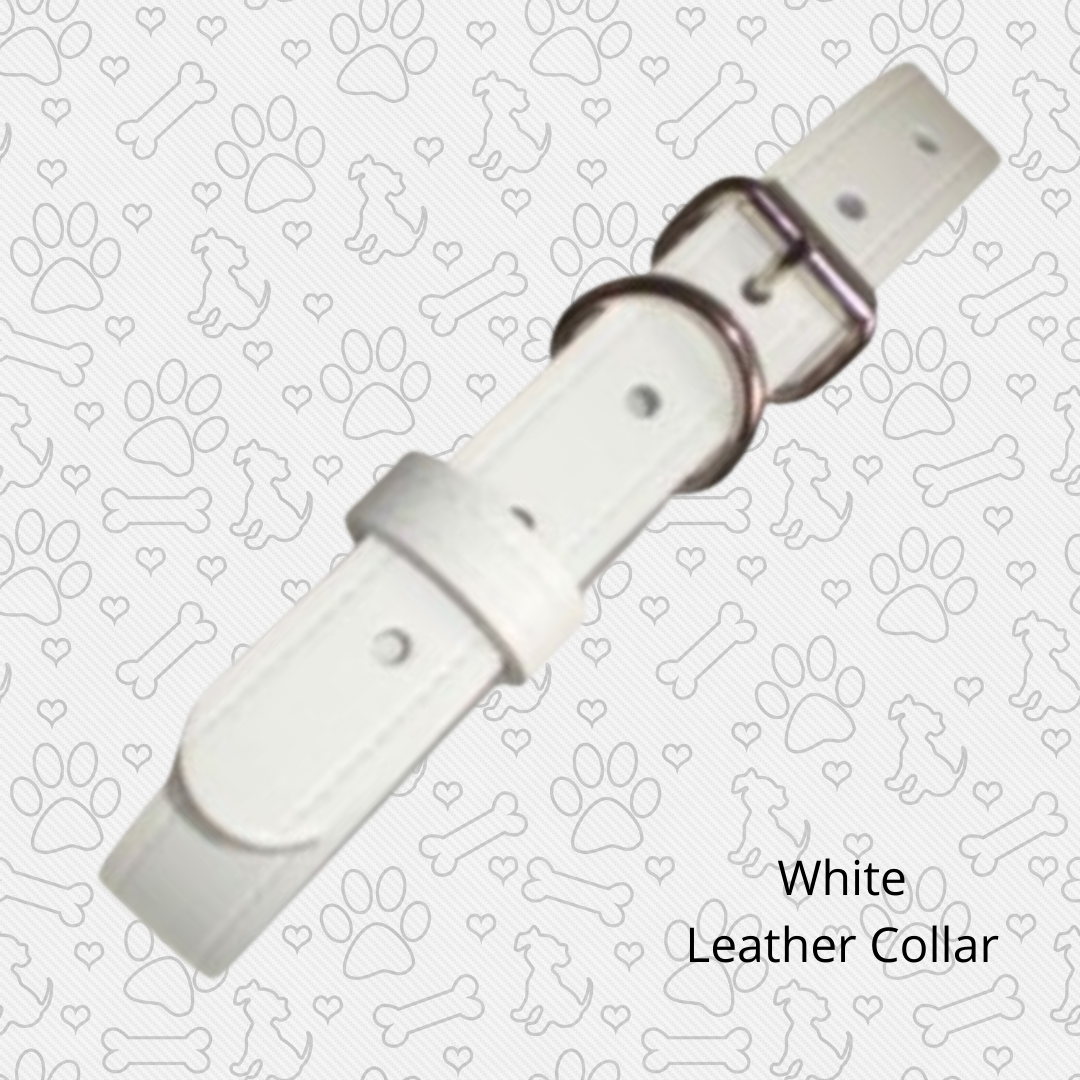 White leather collar various sizes