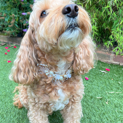 Pearl Beaded Collar for Dogs at weddings and proposals