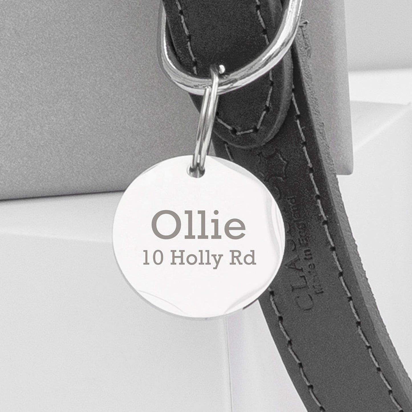 A personalised leather dog collar with an engraved disc attached displaying the name 'Ollie' on a road sign-shaped tag.