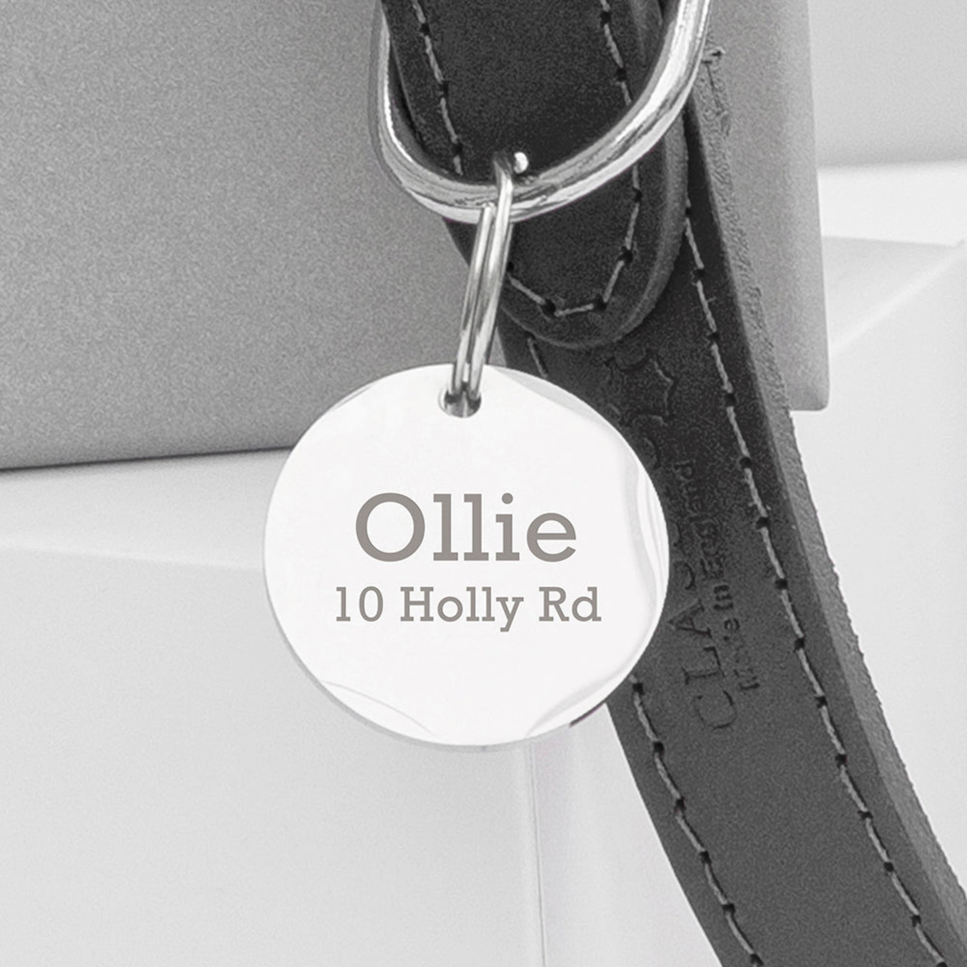 A personalised leather dog collar with an engraved disc attached displaying the name 'Ollie' on a road sign-shaped tag.
