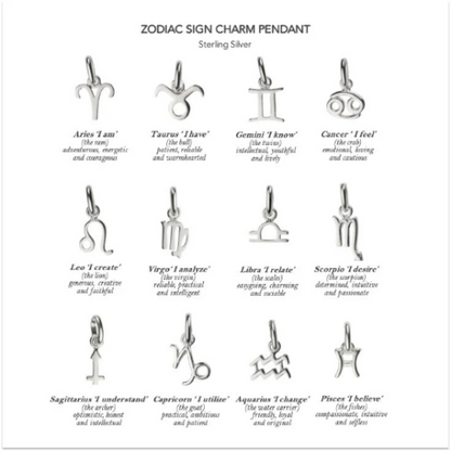 Zodiac charms choice of pendant