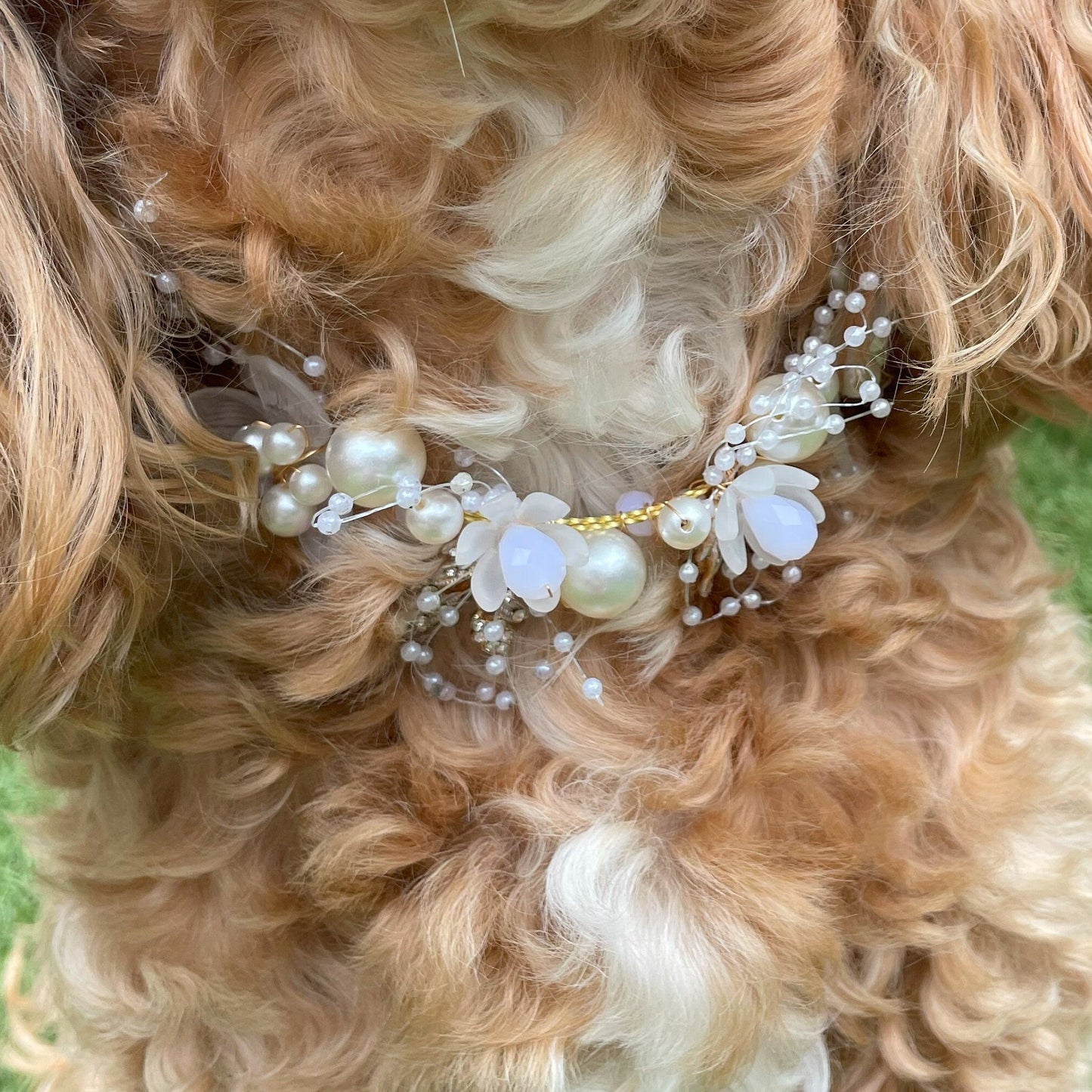 Pearl Beaded Collar for Dogs at weddings and proposals