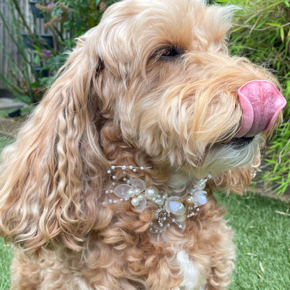 Pearl Beaded Collar for Dogs at weddings and proposals