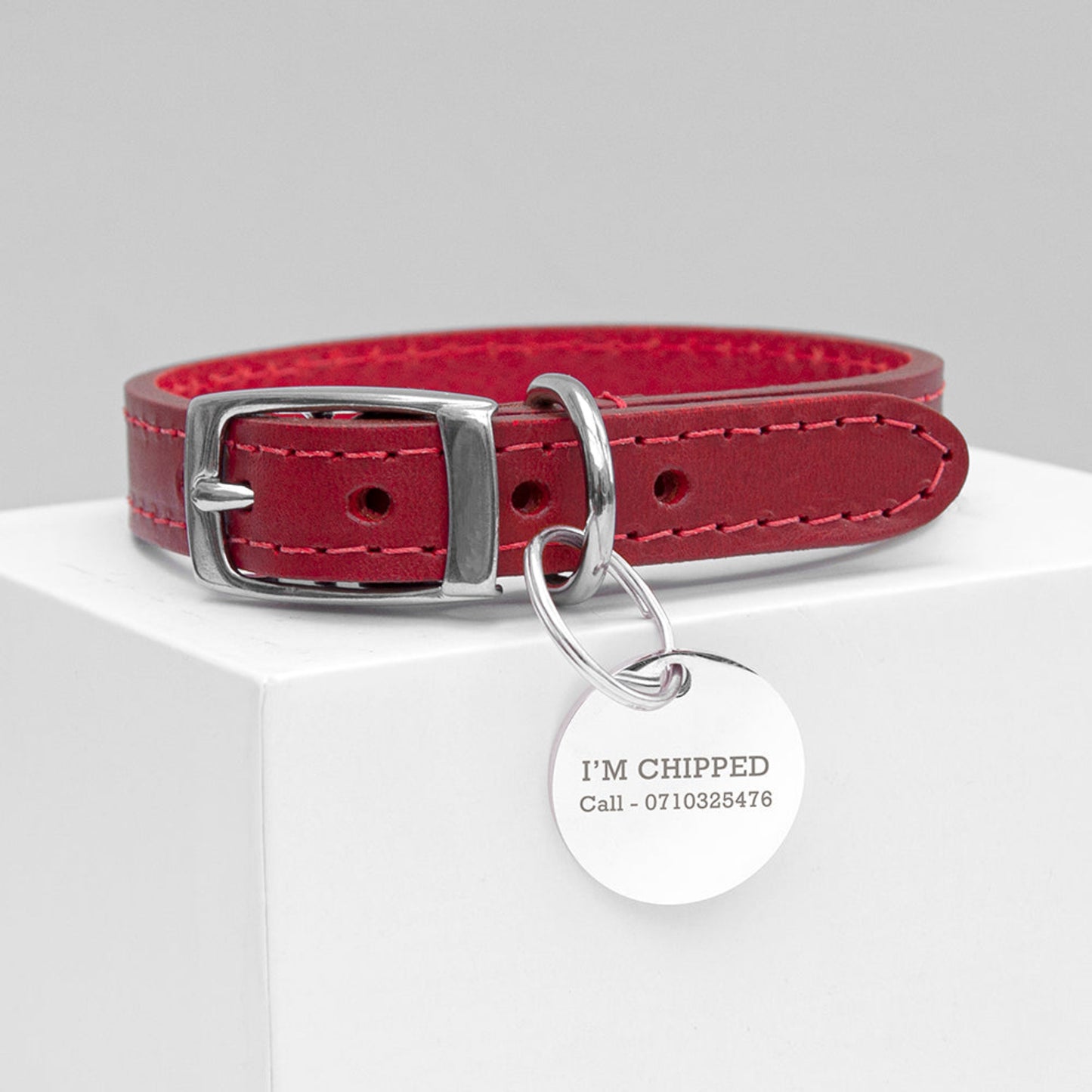 red leather collar, personalised tag, alterntive text