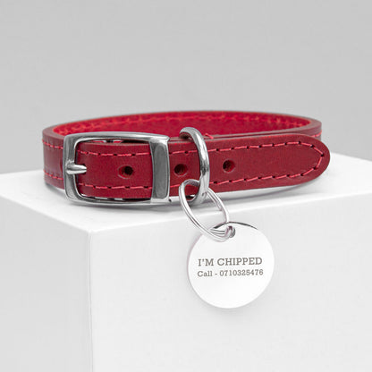 red leather collar, personalised tag, alterntive text