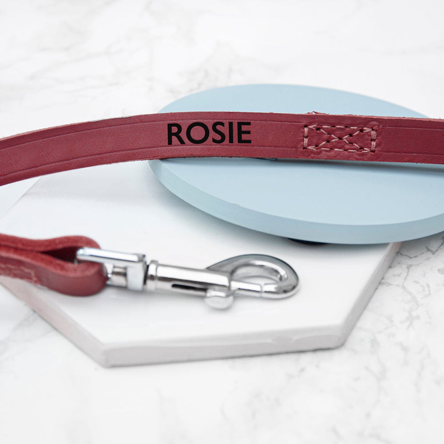Close up showing personalisation and clip on red leather dog lead